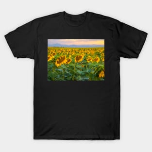 Sunflowers T-Shirt